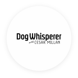 Channel_Icon_DogWhisperer.png